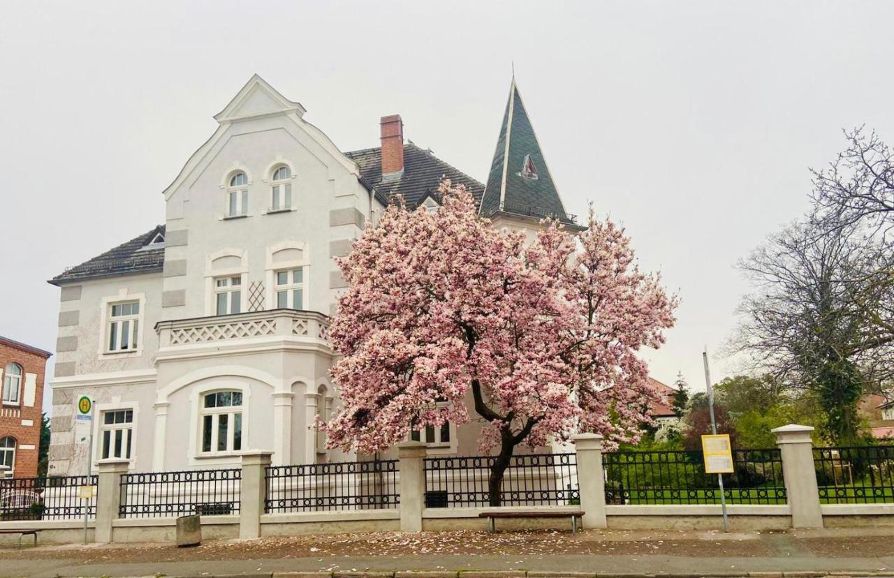 Boutique Appartement Torgau Exterior foto
